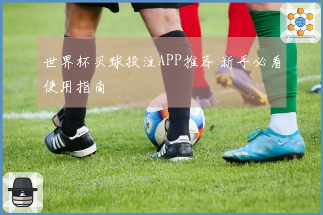 世界杯买球投注APP推荐 新手必看使用指南