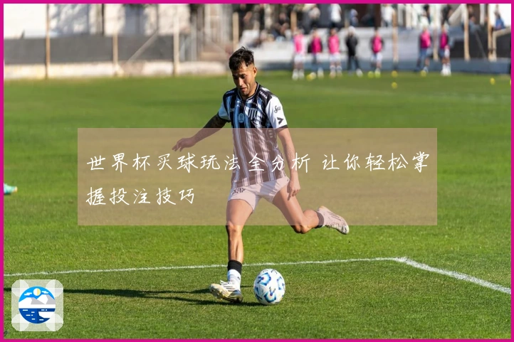 世界杯买球玩法全分析 让你轻松掌握投注技巧