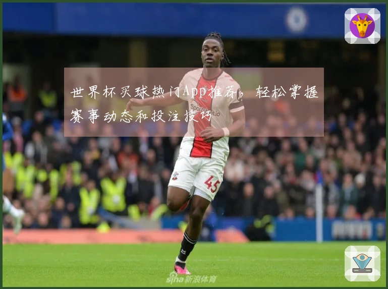 世界杯买球热门App推荐，轻松掌握赛事动态和投注技巧