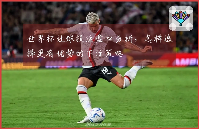 世界杯让球投注盘口分析，怎样选择更有优势的下注策略